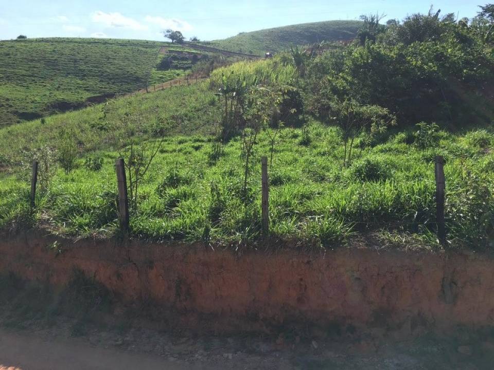 Imagem principal